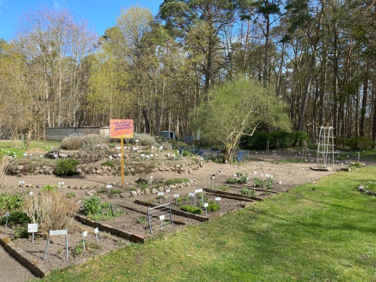Lehmann-Garten im Frühling, Foto Alena Lampe (CC BY-NC-ND),web