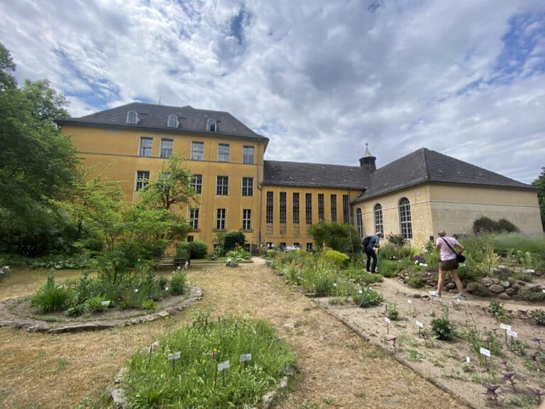 Lehmann-Garten am Joachimsthalschen Gymnasium, Foto Alena Lampe (CC BY-NC-ND)